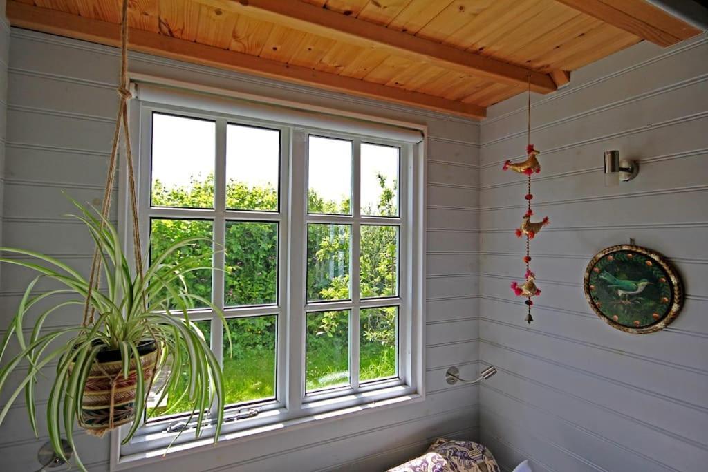 Tiny House On Isolated Farm By The Cornish Coast Villa Bude Exterior photo